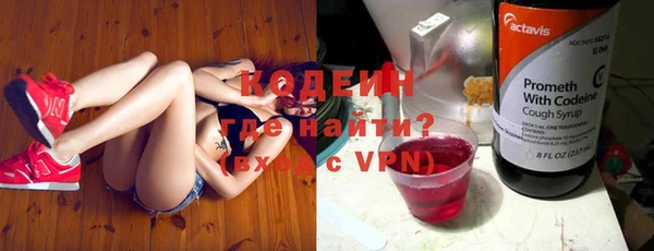 ПСИЛОЦИБИНОВЫЕ ГРИБЫ Арсеньев