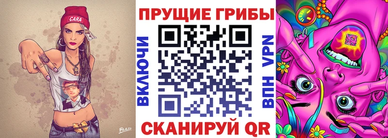 Галлюциногенные грибы Psilocybine cubensis  Гай 